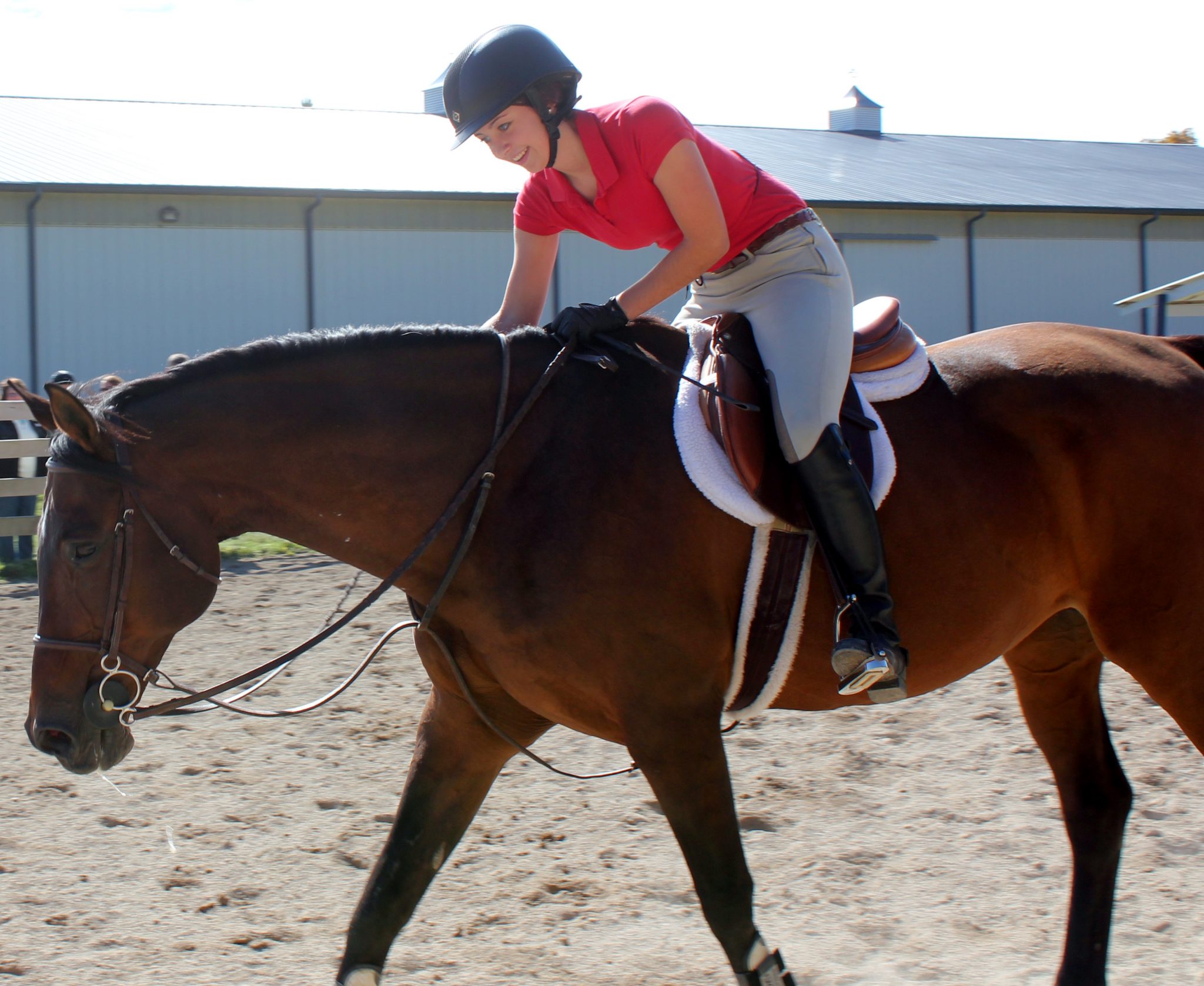 Lessons – Duzan Riding Academy